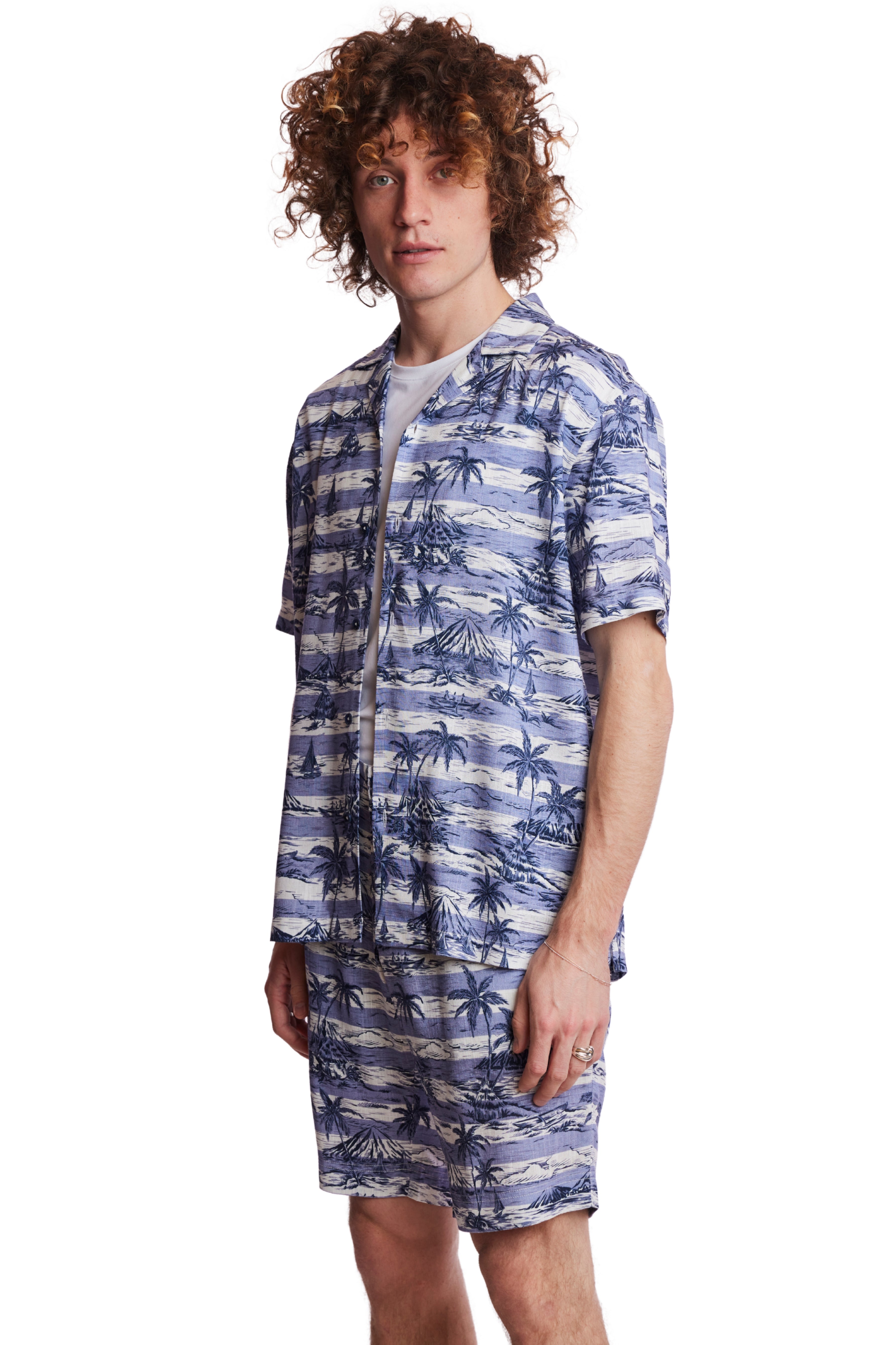Camp Collar Shirt - Indigo Palms Stripe