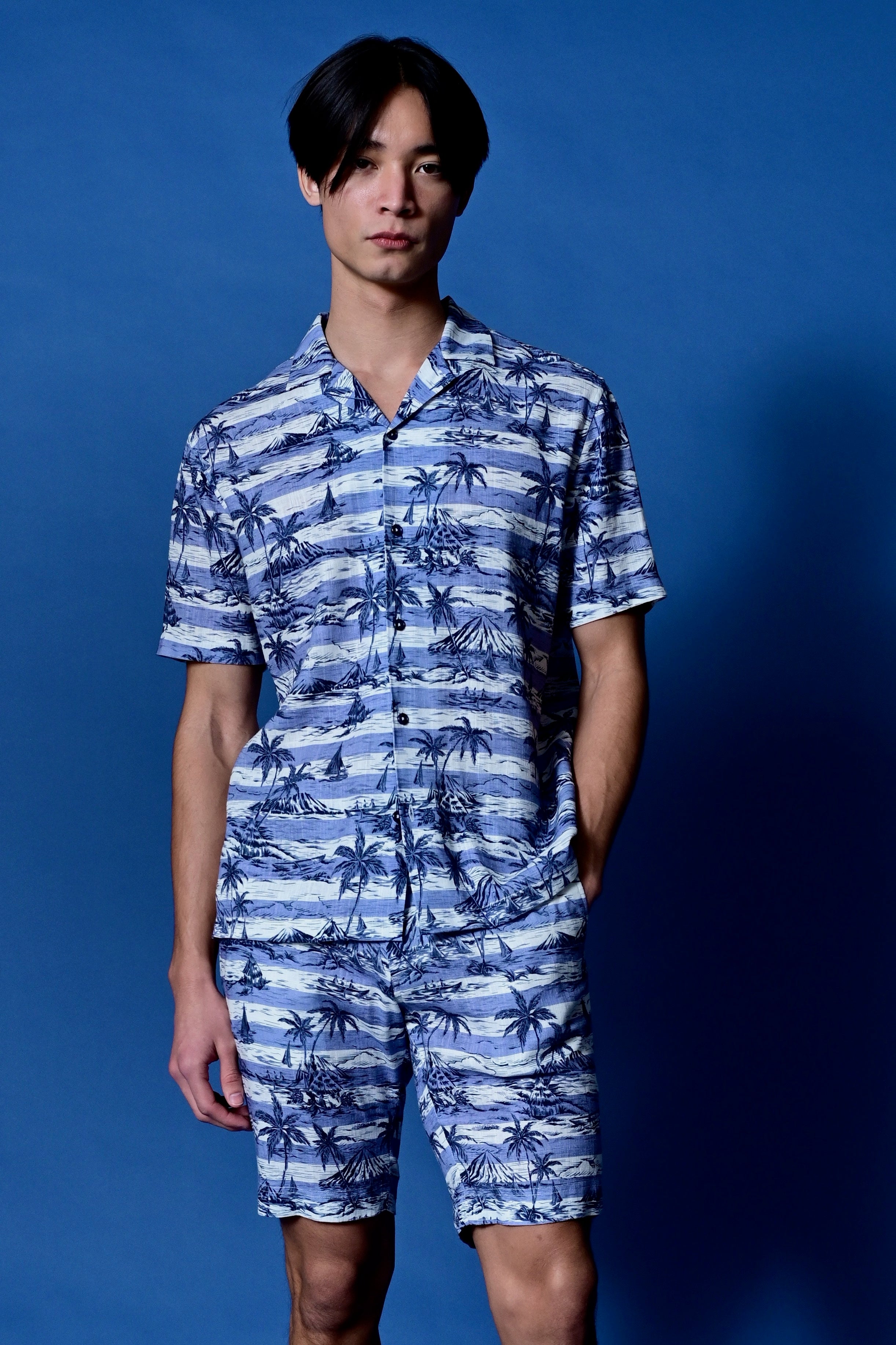 Felix Shorts - slim - Indigo Palms Stripe