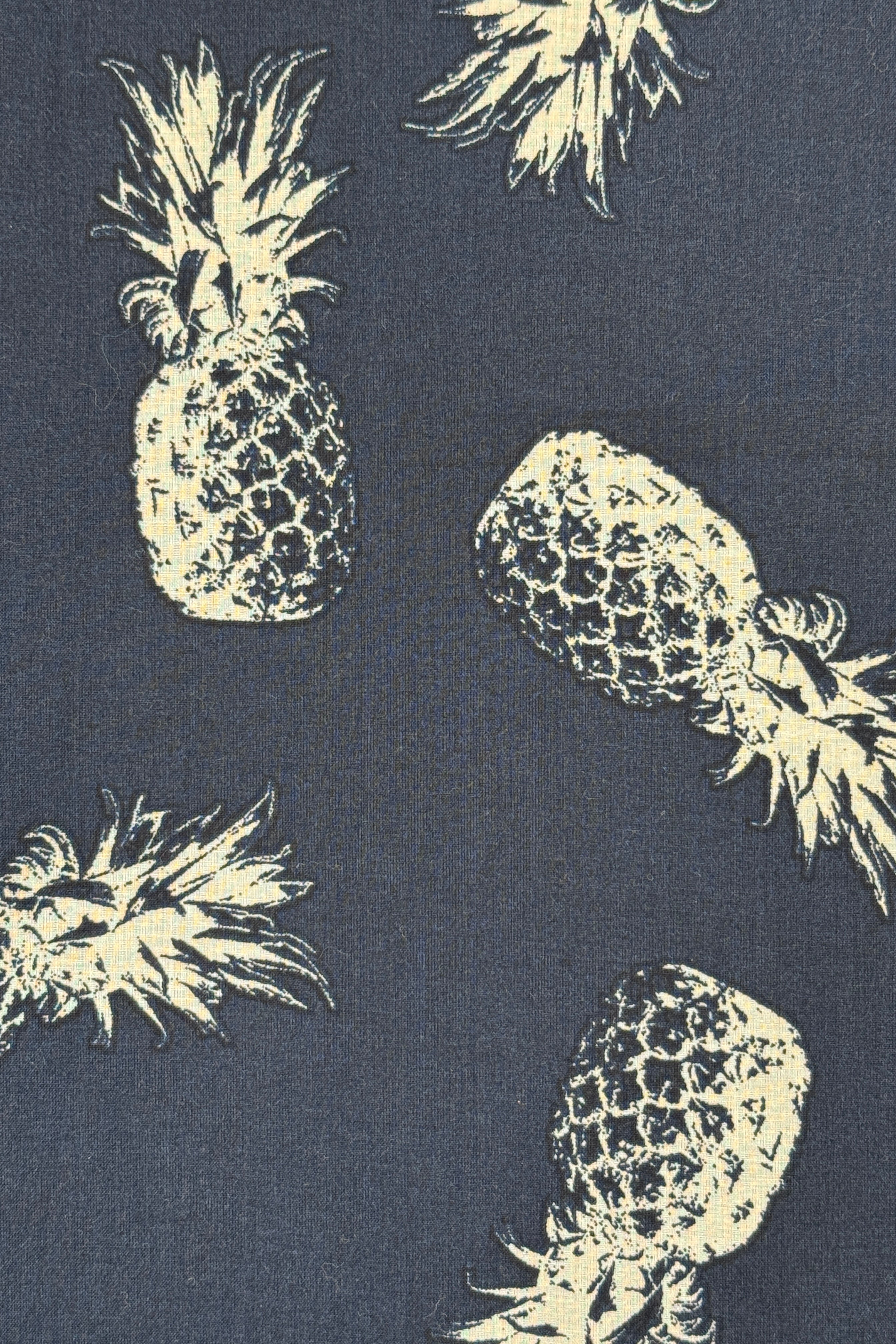Felix Shorts - slim - Navy Pineapple