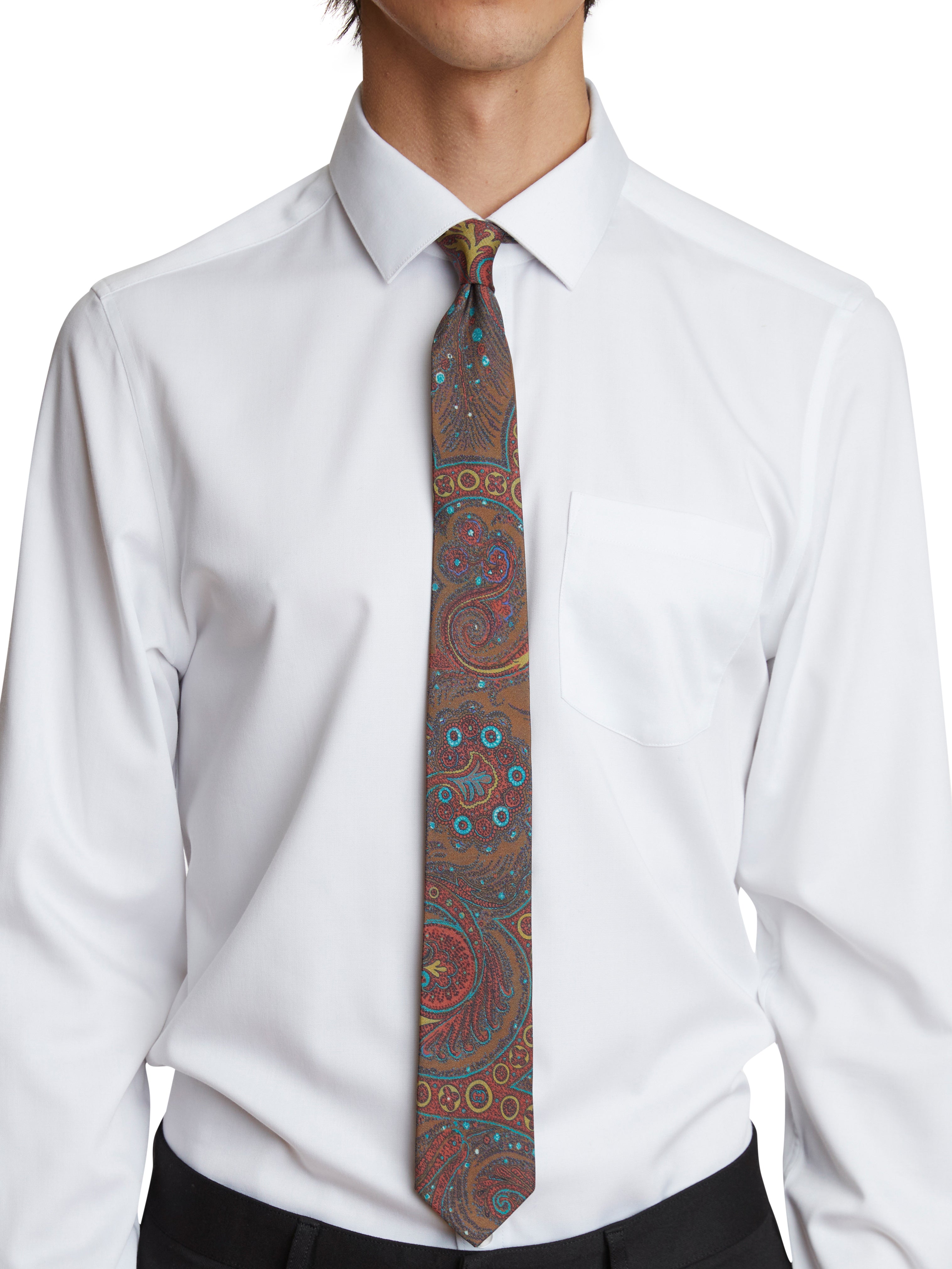 Stanley Vintage Tie - Paisley Park