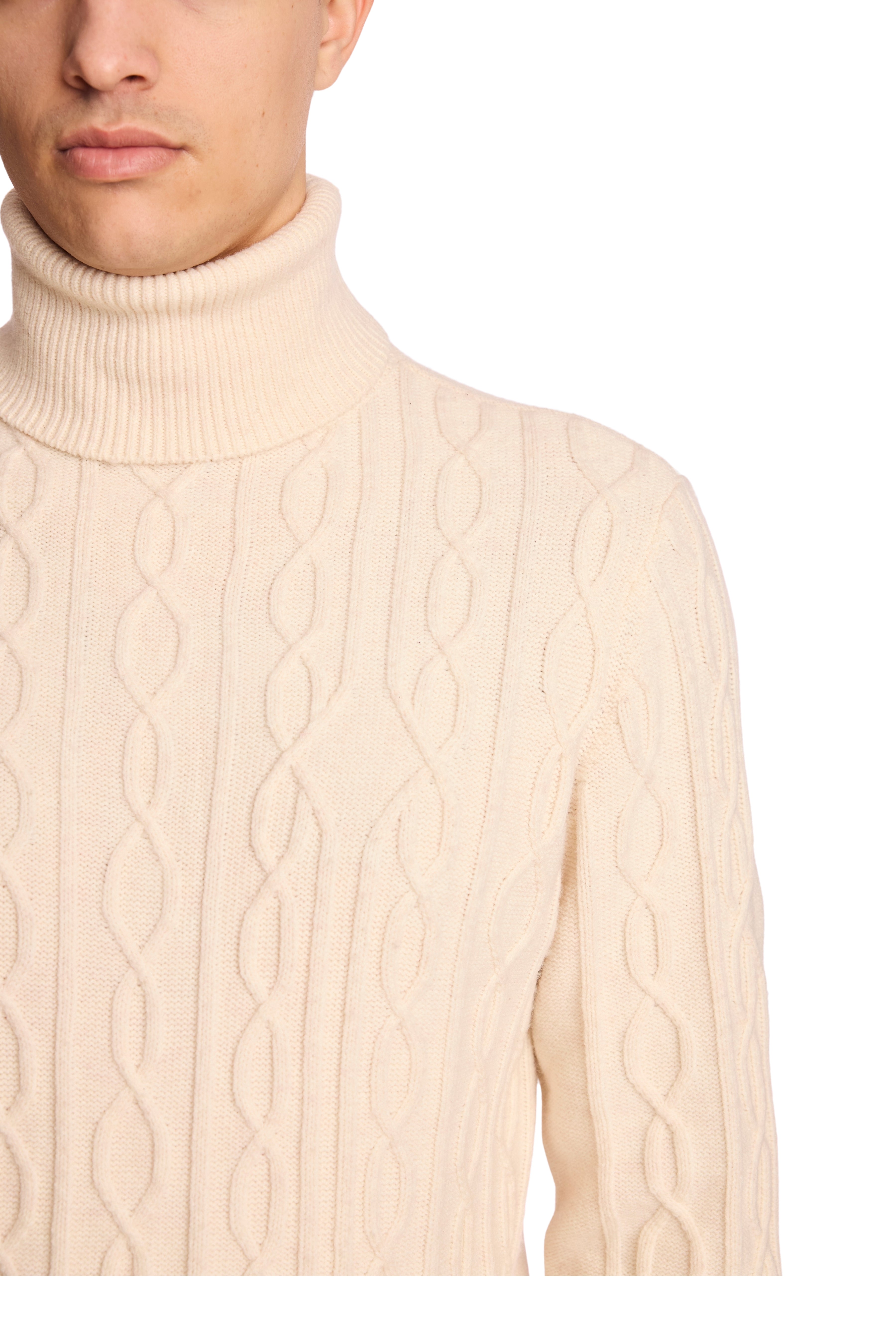 Chunky Turtleneck - Bone Dust