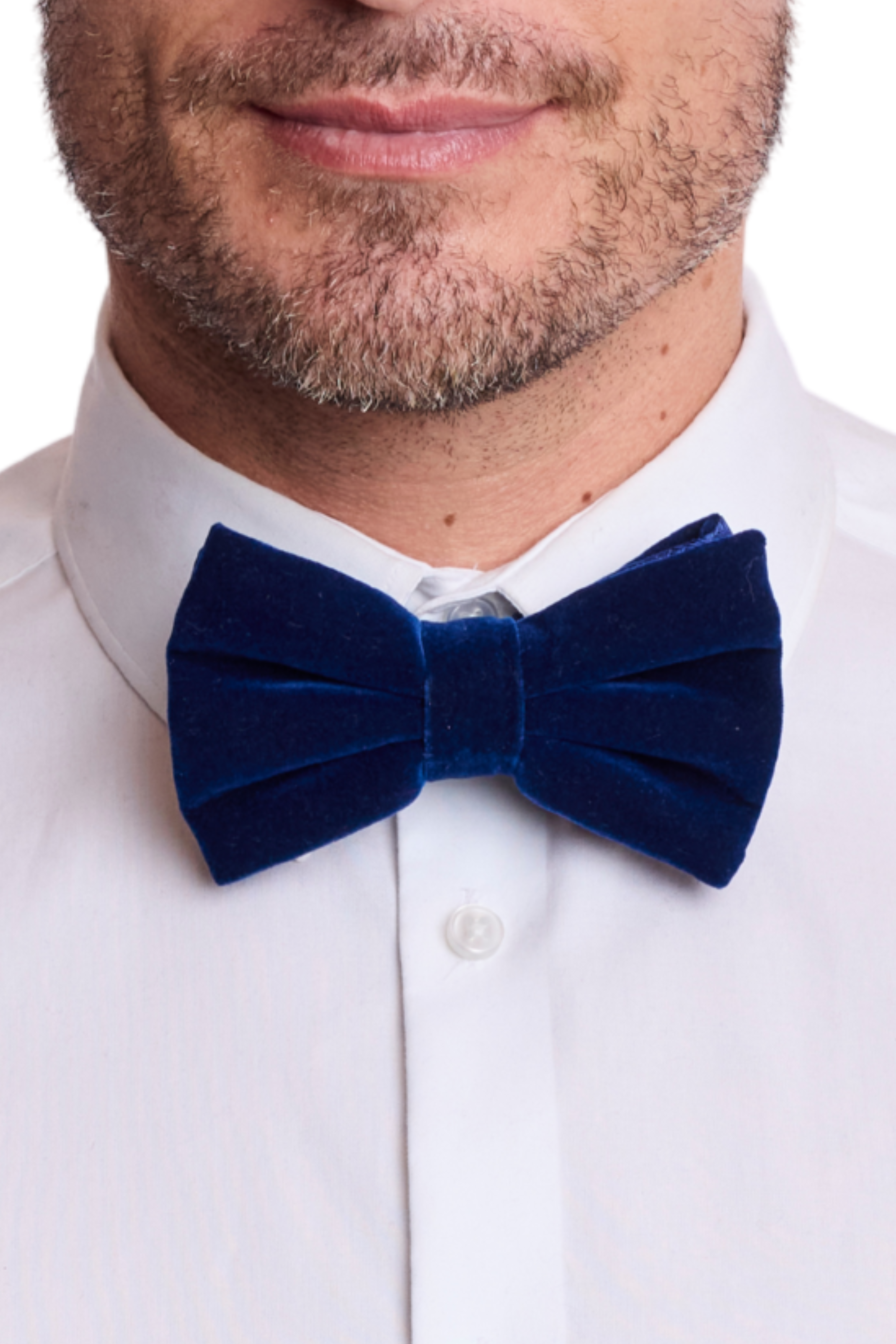 Bradley Bow Tie - Blue Velvet